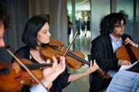 String Musicians Australia