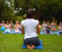 The Magic Tree Yoga & Wellness Centre