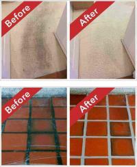 Carpet Steam Cleaning