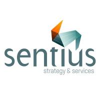 Sentius Strategy - Best Marketing Company