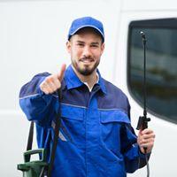 Termites North Brisbane