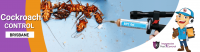 Cockroach Control Brisbane