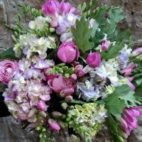 Florentis by Floriade