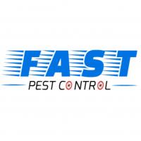 Pest Control Surfers Paradise