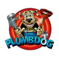 Plumbdog Midland