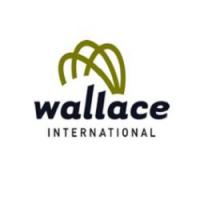 Wallace International