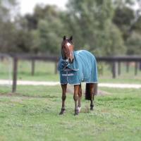 Active Equine is a leading Australian saddlery that only stocks high quality, feature packed horse rugs, saddlery and stable accessories for horses and riders who demand more! Afterpay available. Australian owned. Fast shipping!