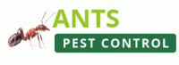 Cockroaches Pest Control Perth