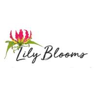 Lily Blooms Plant and Gifts