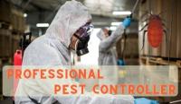 Pest Control Southport