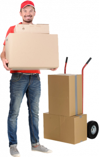 Australian Van Lines