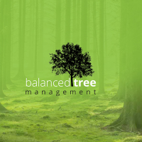 Balanced Tree Management