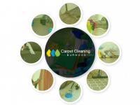 Carpet Cleaning Burwood