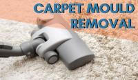 Carpet Cleaning Carrum Downs
