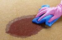 Carpet Cleaning Wynnum