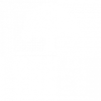 Jack Of All Trees
