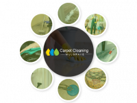 Mulgrave Carpet Cleaning