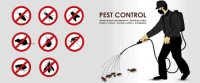 PEST CONTROL