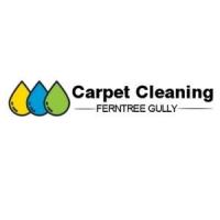 Carpet Cleaning Ferntree Gully