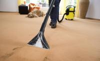 Carpet Cleaning Richmond
