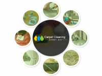 Carpet Cleaning Sandy Bay