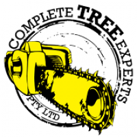 Complete Tree Experts
