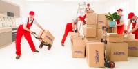 Knopps Removals & Storage