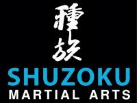 Seishin Karate-Do Shuzoku Martial Arts