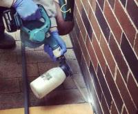 Pest Control Homebush