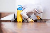 Pest Control Ryde