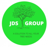 jdsgroup