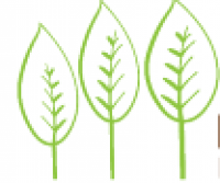 Natural Elements ELC, Eagleby