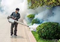 Pest Control South Yarra