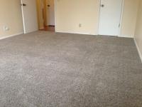 Carpet Cleaning Henley Beach