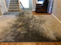 Carpet Cleaning Kallangur
