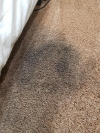 Carpet Cleaning Kingston