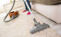 Carpet Cleaning Weston
