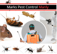Pest Control Manly