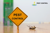 Pest Control Tranmere