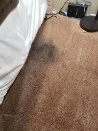 Squeaky Clean Rugs - Carpet Cleaning Melbourne