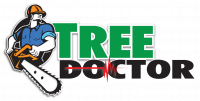 Tree Doctor Tasmania