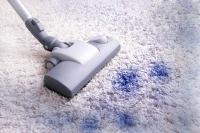 Carpet Cleaning Bardon