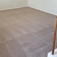 Carpet Cleaning Dulwich Hill