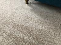 Carpet Cleaning Greenslopes