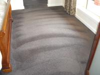 Carpet Cleaning Ngunnawal