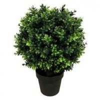 Designer Vertical Gardens