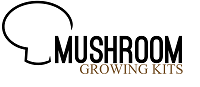 Mushroom Growing Kits