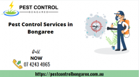 Pest Control Bongaree
