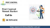 Pest Control Mount Barker