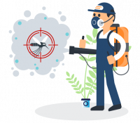 Pest Control New Farm